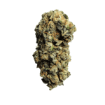 Remexian 21/1 ISL Animal Face